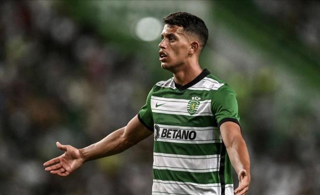 率的人格魅 率的人格魅