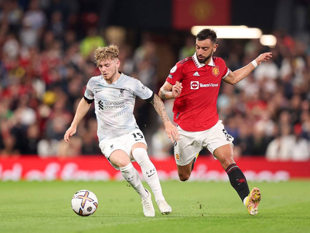 质性阶段 质性阶段